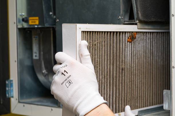 Best Commercial Air Duct Cleaning  in Prairie Creek, AR