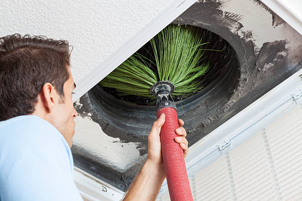 Best Affordable Duct Cleaning Services  in Prairie Creek, AR