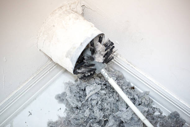 Best Emergency Air Duct Cleaning  in Prairie Creek, AR